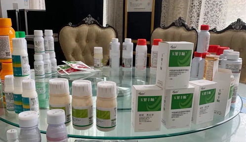 專(zhuān)業(yè)方案,更優(yōu)選擇 河南瀚斯夏季除草劑產(chǎn)品技術(shù)培訓(xùn)會(huì)山東曹縣專(zhuān)場(chǎng)圓滿(mǎn)召開(kāi)